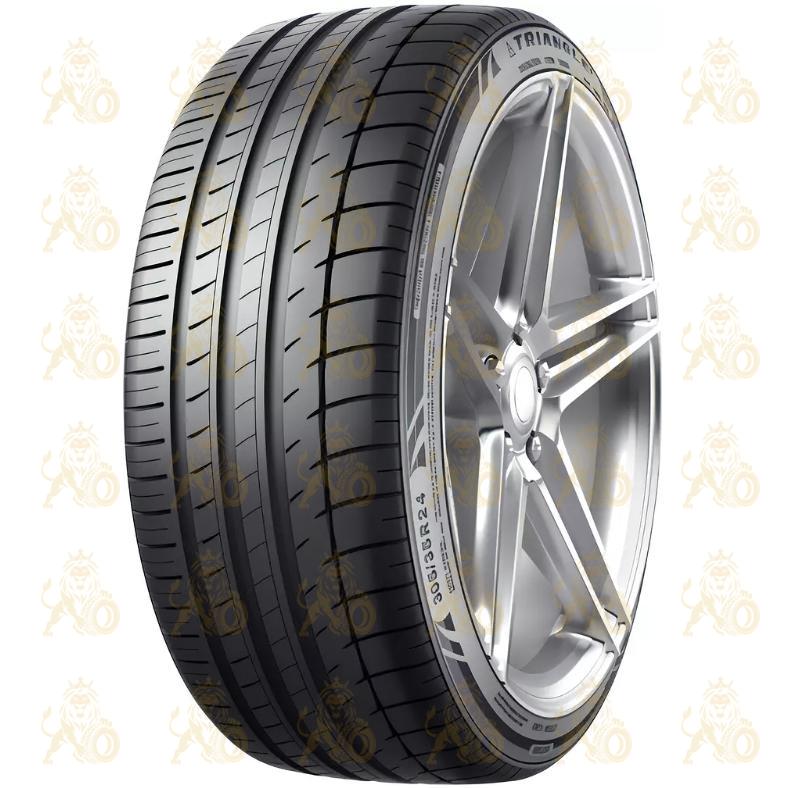 Triangle TH201 255/30 R22 95Y