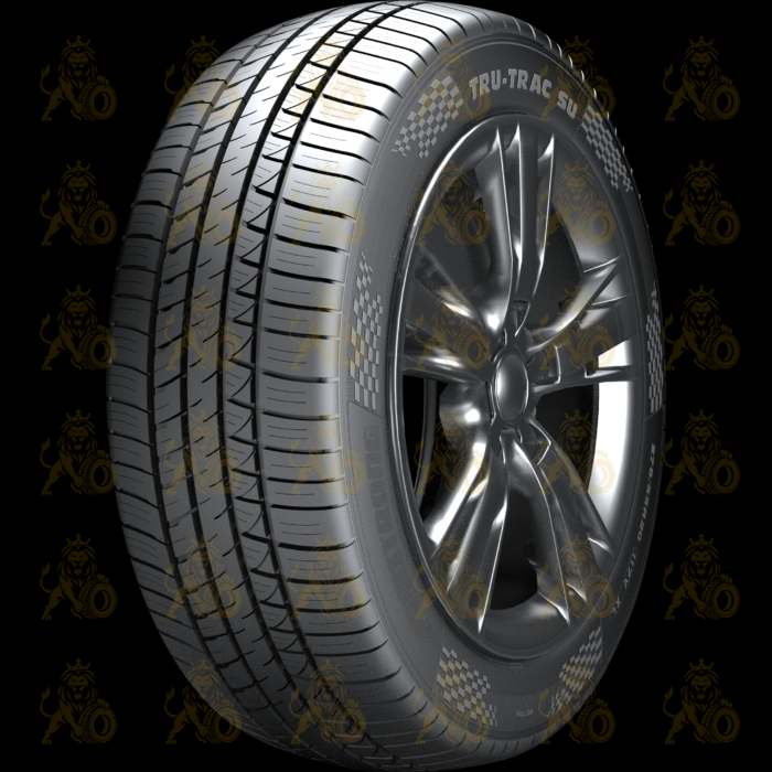 Armstrong Tru-Trac SU 265/40 R21 105Y