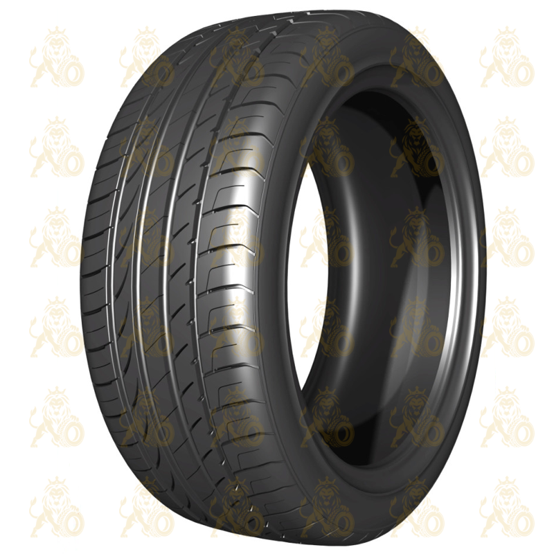 DoubleStar DU01 205/45 R17 88W