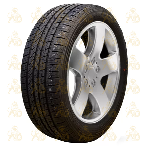 RoadX RXQuest H/T 02 255/50 R19 103V