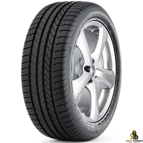 Goodyear EfficientGrip 255/40 R19 100Y XL RunFlat AOE FP