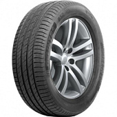 DS2 Delinte DS2 225/55 R16 99W