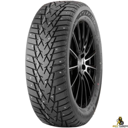 DoubleStar DW01 205/55 R16 91T