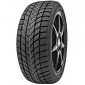 Delinte Winter WD6 225/50 R17 98T