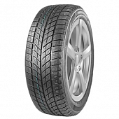 DoubleStar DW09 225/45 R18 95T XL