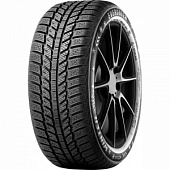 EW62 Evergreen EW62 205/65 R16 95H