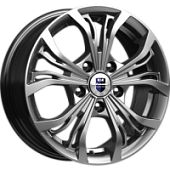 Диски Аламида, Диски