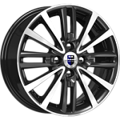 Диски Модена, Диски