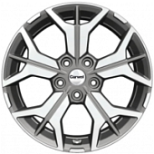 Диски Бусани, Диски