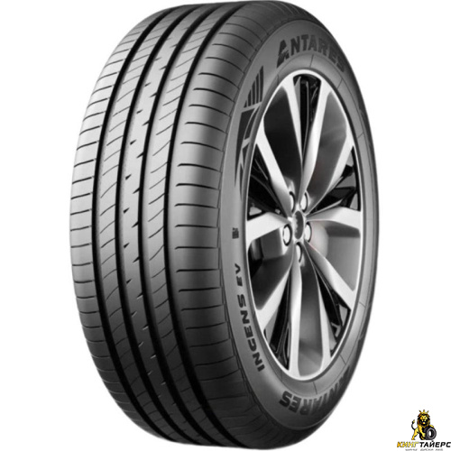 Antares Ingens EV 205/55 R16 91V