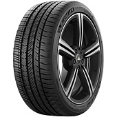 Pilot Sport A/S 4 Acoustic