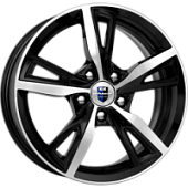 Диски Фишт, Диски