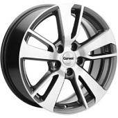 Диски Чага, Диски