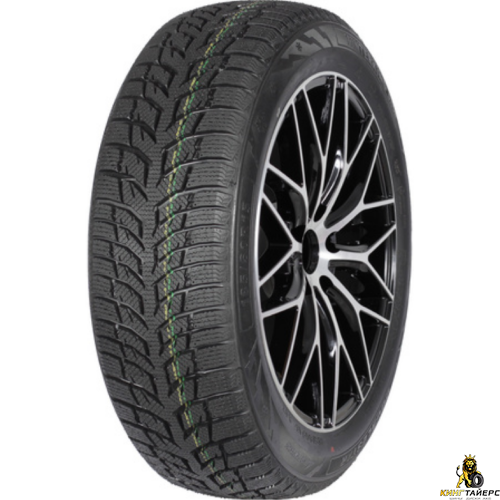 Autogreen Snow Chaser 2 AW08 205/55 R16 91H