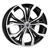 Диски Аламида, Диски