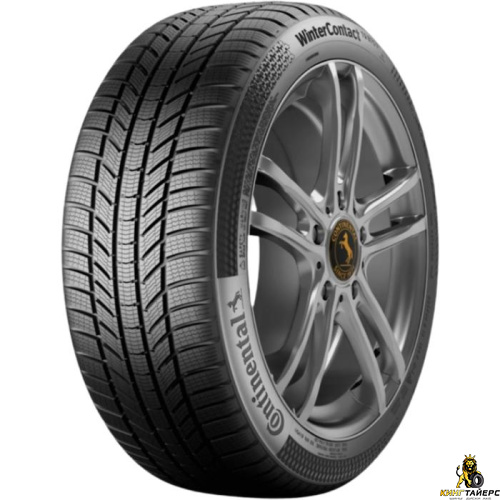 Continental ContiWinterContact TS 870 P 215/60 R17 96H
