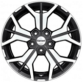 Диски Бусани, Диски