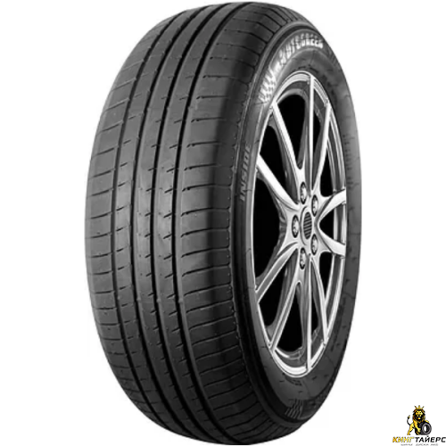 Autogreen Smart Chaser SC1 205/55 R16 91V