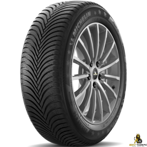Michelin Alpin 5 225/45 R17 91V RunFlat FP