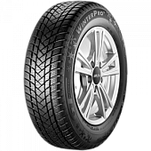 GT Radial WinterPro 2 195/55 R16 91H XL