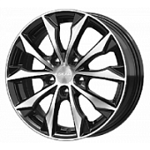 Диски Нагоя, Диски